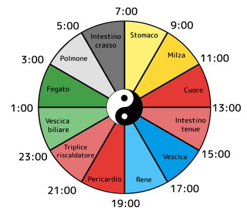 meridiani divisione per ore